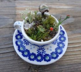 terrarium miniature tea cup saucer moss zen lilliputian garden fairy, gardening, terrarium, Teacup Terrarium