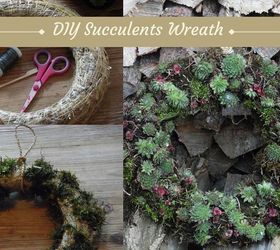 easy diy succulents wreath, crafts, flowers, gardening, succulents, wreaths