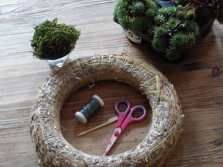 easy diy succulents wreath, crafts, flowers, gardening, succulents, wreaths