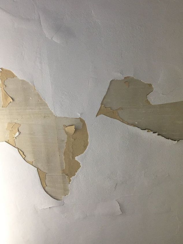 paint peeling fix on a budget what would you do, Ceiling