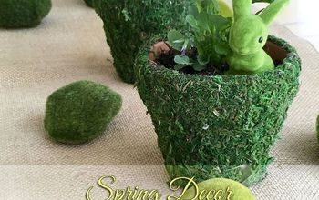 Spring Moss Covered Pots