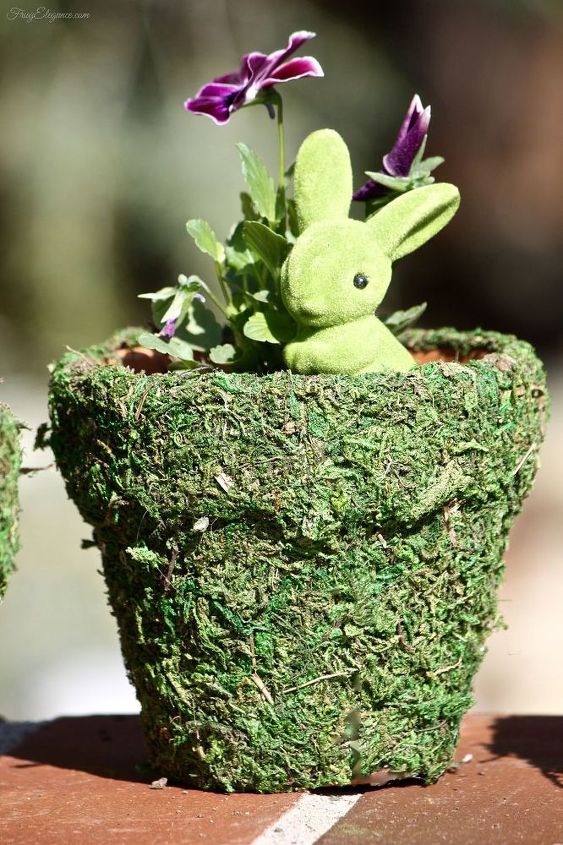 spring moss covered pots, container gardening, crafts, gardening