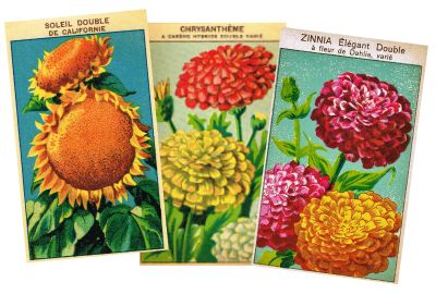 cartel de los paquetes de semillas de flores para el hogar