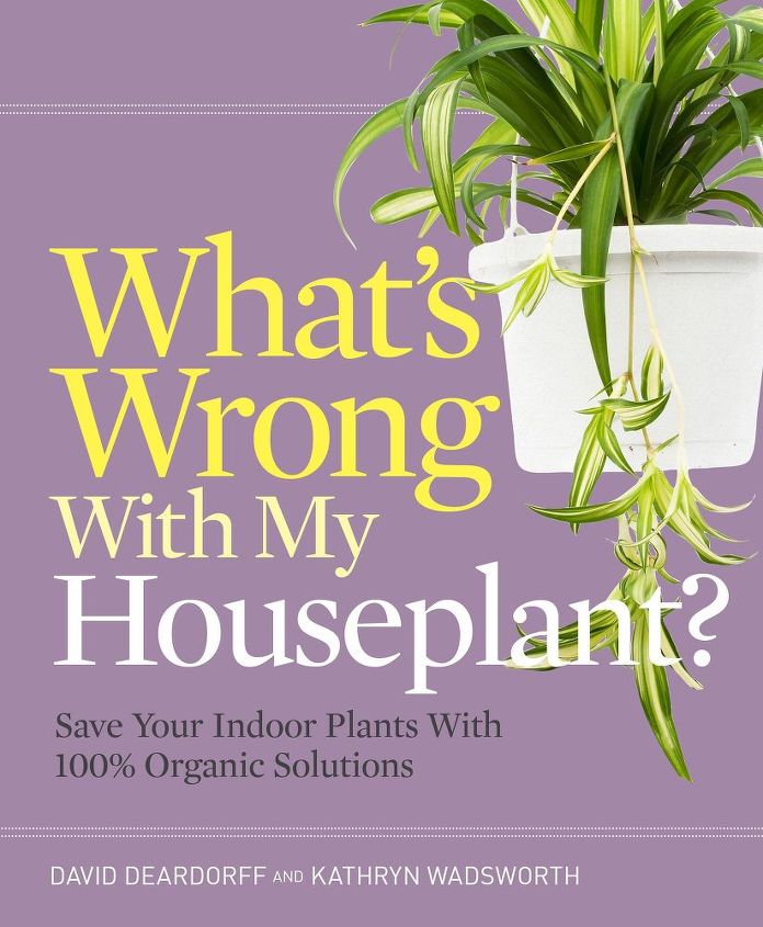 what s wrong with my houseplant, gardening