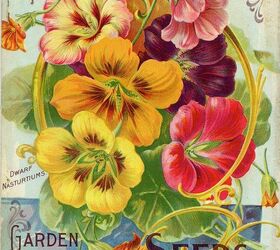 growing a vintage seed box, crafts, decoupage, gardening