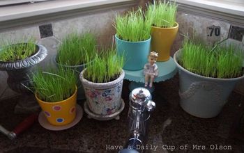 Planting Pots of Grass for Spring Color