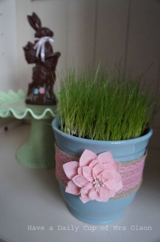 planting pots of grass for spring color, container gardening, gardening