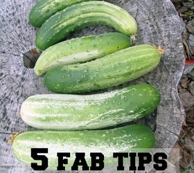 5 Fab Tips for Gardening With Kids