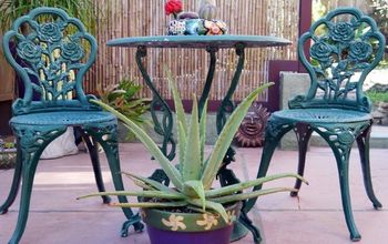 Una planta con propósito: Cómo cuidar el Aloe Vera