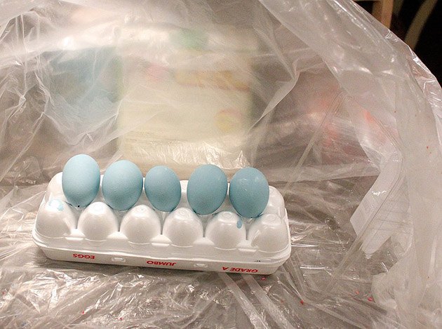 huevos de imitacin de pjaros azules y nido eastereggs