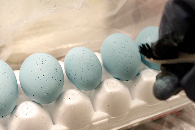 faux blue bird eggs and nest eastereggs