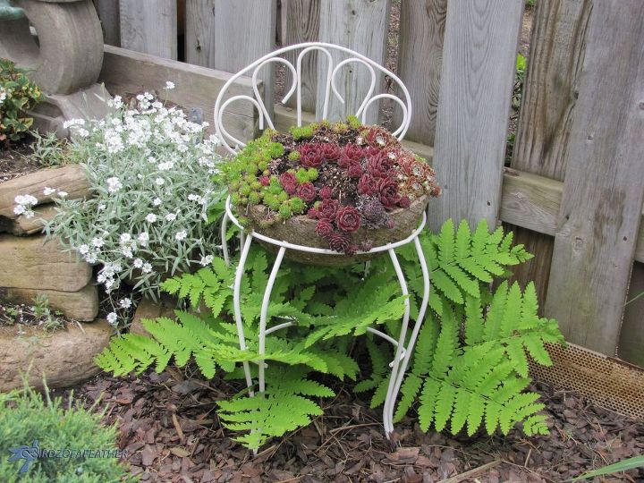 ideias criativas de vasos de flores para o jardim, Nossa samambaia adora ficar na sombra debaixo da cadeira