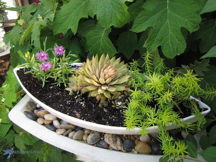 ideias criativas de vasos de flores para o jardim, Suculentas adicionam cor e textura