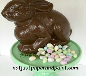 Chocolate Bunny - Real or Not???