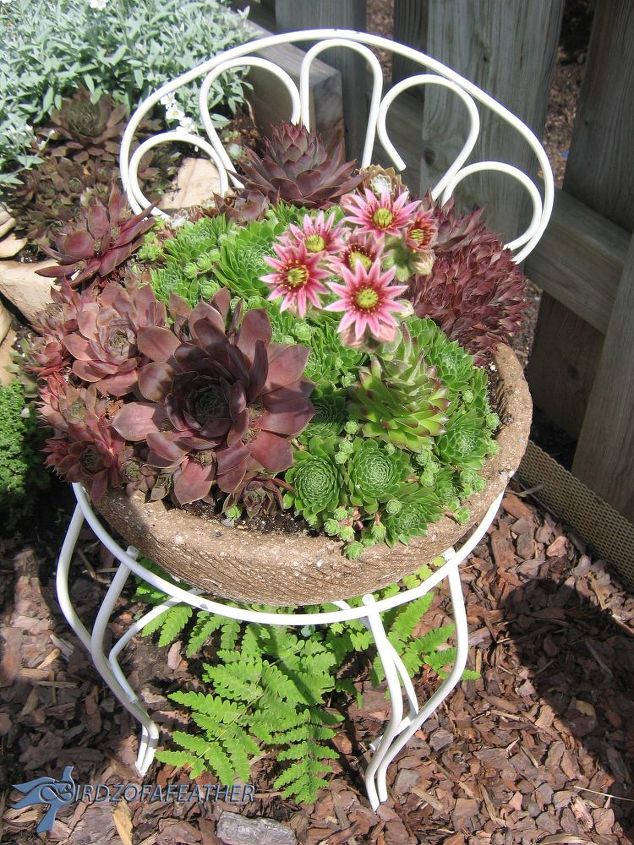 creative planter ideas for the garden, container gardening, flowers, gardening, outdoor furniture, Succulents can overwinter in hypertufa