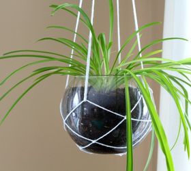 s these are the hottest diy spring trends of 2016, crafts, seasonal holiday decor, Bring houseplants off the ground tabletops