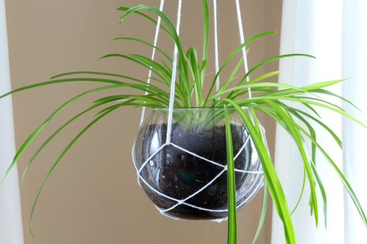 s these are the hottest diy spring trends of 2016, crafts, seasonal holiday decor, Bring houseplants off the ground tabletops