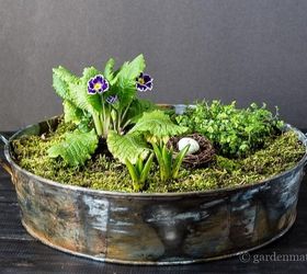 s these are the hottest diy spring trends of 2016, crafts, seasonal holiday decor, Make mini fairy gardens to keep indoors