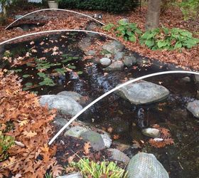 how to clean a pond, cleaning tips, how to, ponds water features