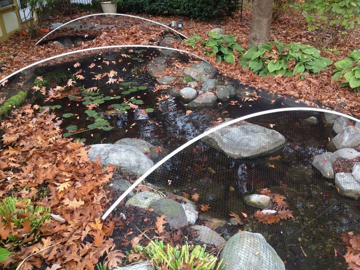 how to clean a pond, cleaning tips, how to, ponds water features