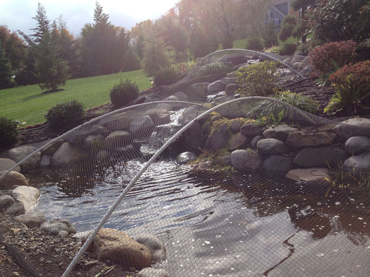 How To Clean A Pond Hometalk how-to-clean-a-pond-hometalk
