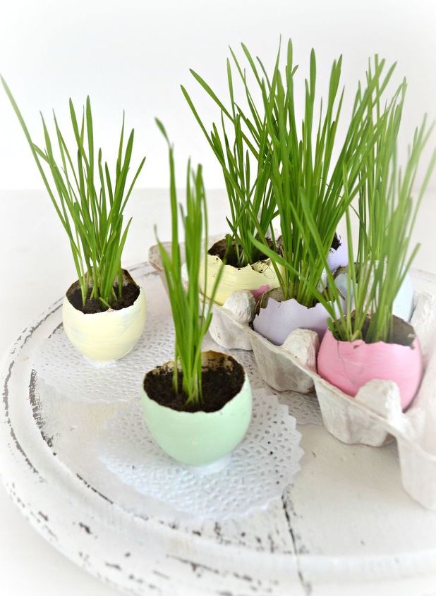 easter egg planters for wheatgrass in pretty pastels, crafts, easter decorations, gardening, seasonal holiday decor