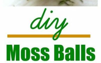DIY Moss Balls