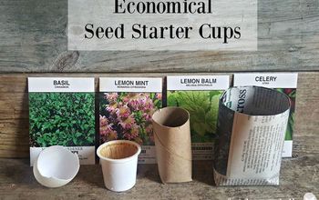 5 ideas de tazas de inicio de semillas fáciles de hacer