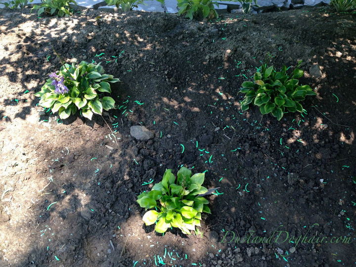 use soap to keep nibblers from your garden, gardening, how to, landscape, perennial, pest control