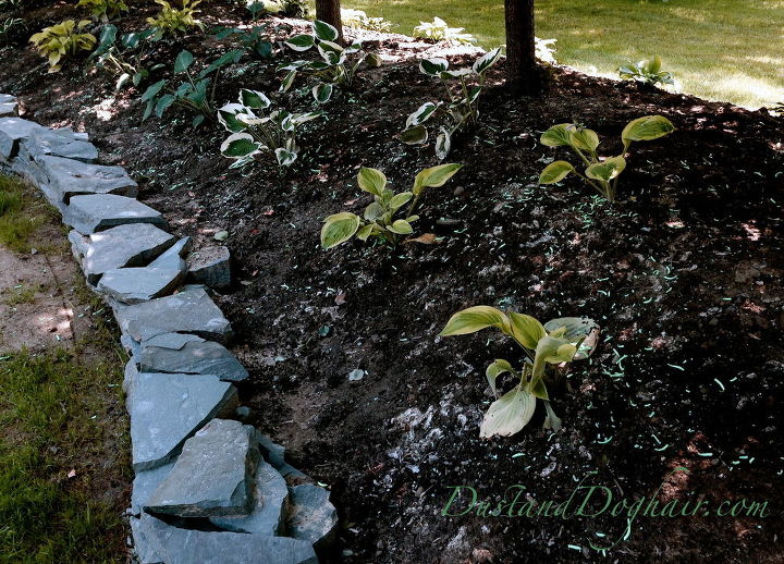 use soap to keep nibblers from your garden, gardening, how to, landscape, perennial, pest control