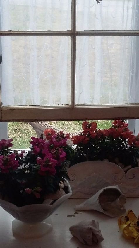 jardim de primavera shabby chic