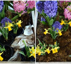 tabletop gardening and spring in a drawer, container gardening, easter decorations, gardening, seasonal holiday decor