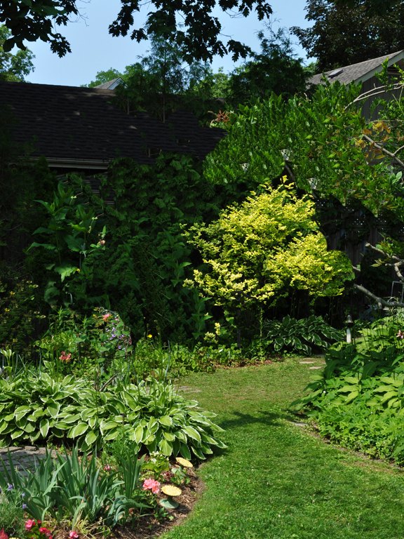 garden before afters, flowers, gardening, landscape, outdoor living