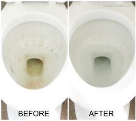 diy natural toilet cleaner 6 bathroom toilet cleaning tips, bathroom ideas, cleaning tips, how to, This DIY Lemon Rosemary Toilet Cleaner WORKS