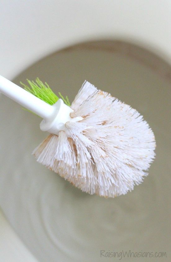 limpiador natural de inodoros diy 6 consejos para limpiar el inodoro del bao, C mo desinfectar el cepillo del inodoro