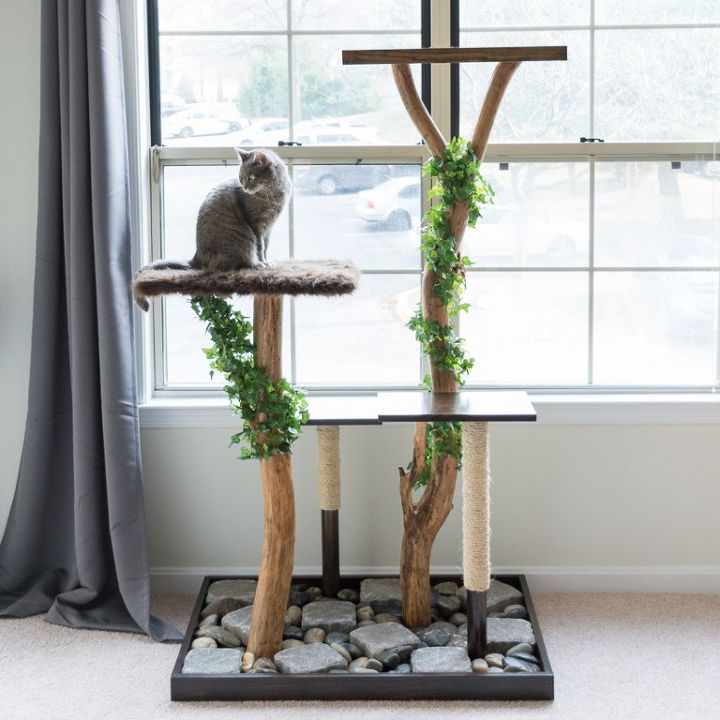 Woodworking projects for pets