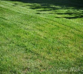 Totally Repair Dead Grass Spots Damaged By Dog Urine In 3 Easy Steps