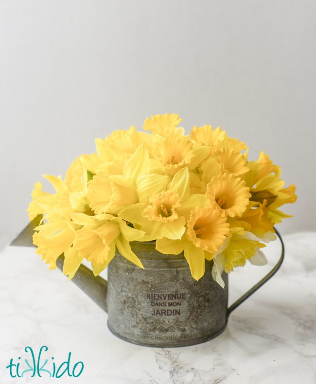 easy spring daffodil flower arrangement, flowers, gardening