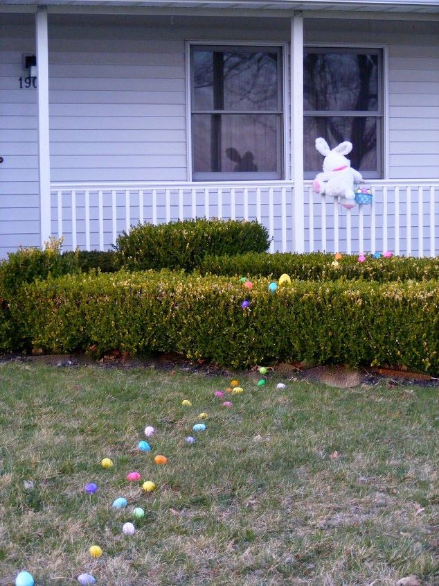 Easter Bunny Sighting Hometalk