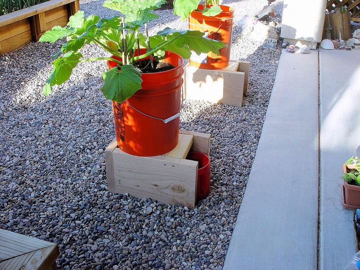s 20 low maintenance container gardens for beginners, container gardening, gardening, Plant in buckets to use less water