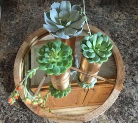 s 20 low maintenance container gardens for beginners, container gardening, gardening, Upcycle empty cans into easy succulent pots