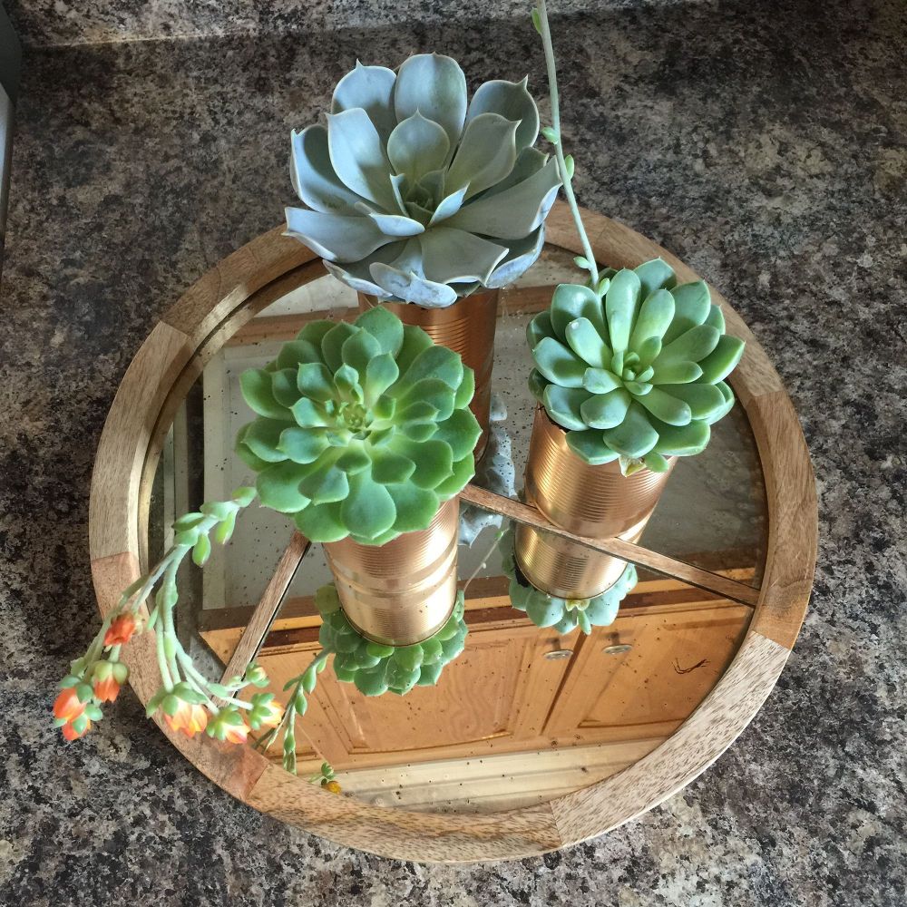 20 Low Maintenance Container Gardens for Beginners | Hometalk