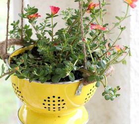 s 20 low maintenance container gardens for beginners, container gardening, gardening, Put a trailing plant in a colander
