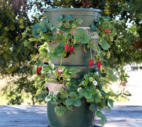 s 20 low maintenance container gardens for beginners, container gardening, gardening, Try growing tasty strawberries in a tower