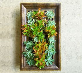 how to frame a vertical garden, container gardening, diy, flowers, gardening, how to, pallet, succulents, wall decor