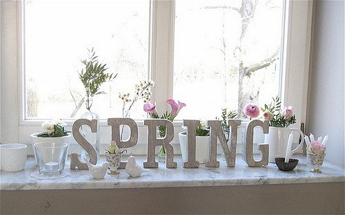 dicas de limpeza de primavera, flickr moline