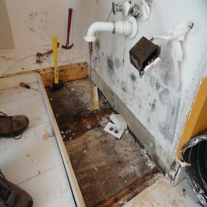 Ed By The People Connect Best Mold Removal Company Jacksonvil Ed By The People Connect Best Mold Removal Company Jacksonvil Cleaning Tips