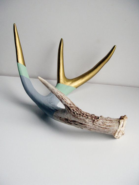 top 10 uses for antlers, crafts, repurposing upcycling, Credit Cassandra Smith