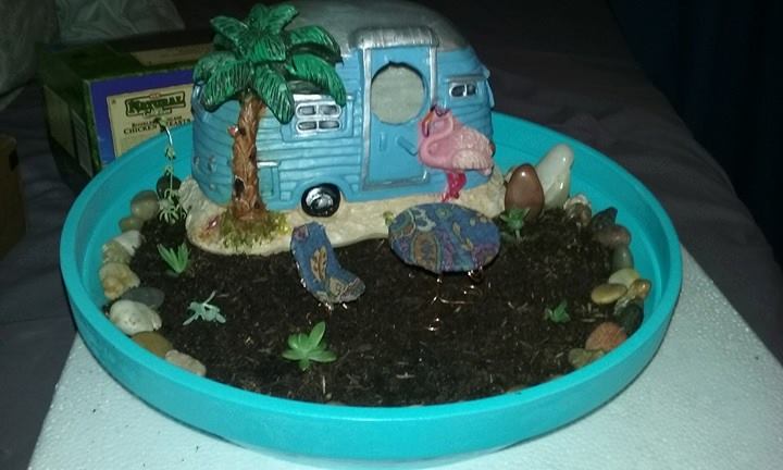 my mini succulent garden i made as a gift for a neighbor, container gardening, crafts, flowers, gardening, succulents