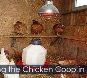 chicken coop hen coop building idea, diy, homesteading, outdoor living, pets animals, woodworking projects